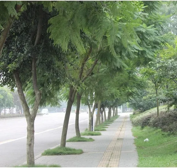 七里晓月2室2厅1卫东南朝向2900.00元/月出租