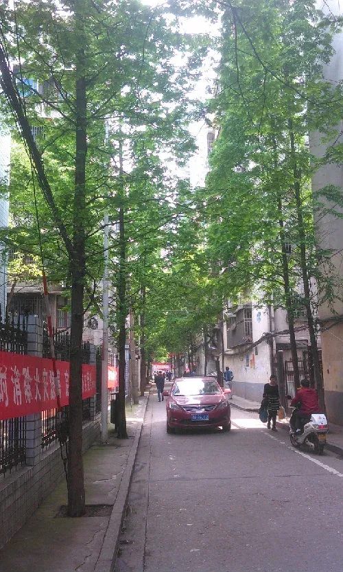 五一东村3室1厅1卫南朝向1580.00元/月出租