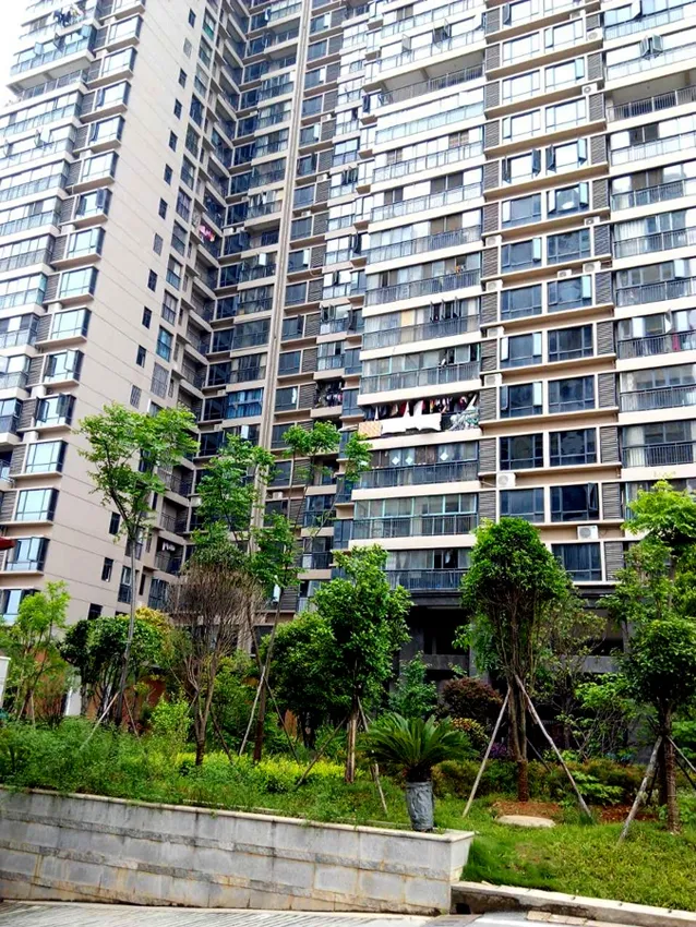 东岸城邦2室2厅1卫南朝向2200.00元/月出租
