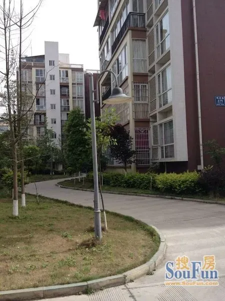 世宏锦舍2室2厅1卫南朝向800.00元/月出租