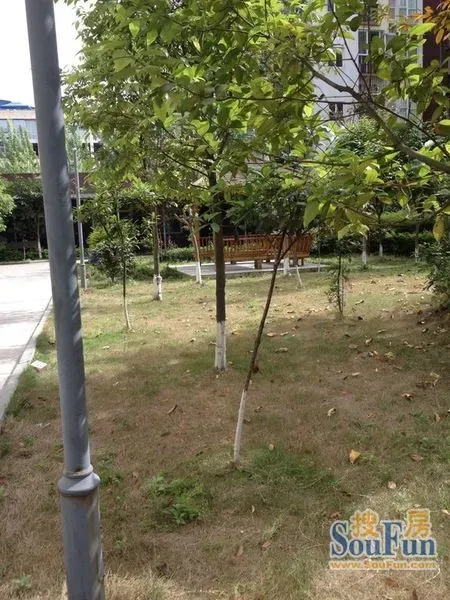 世宏锦舍3室2厅2卫东朝向1200.00元/月出租
