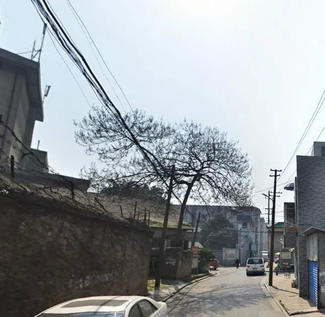 东瓜山二村3室2厅1卫南朝向1600.00元/月出租