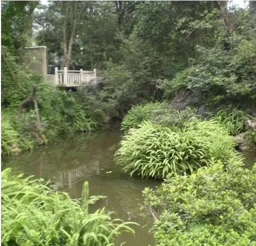 今日润园5室4厅3卫东南朝向12000.00元/月出租