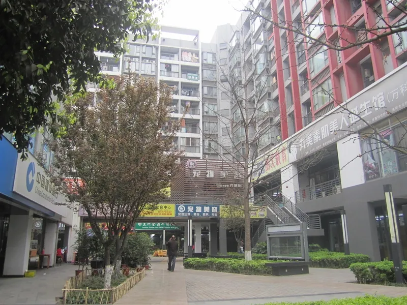 万科城市花园2室1厅1卫东朝向2900.00元/月出租
