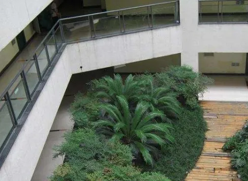 蓝光郁金香花园广场1室1卫东南朝向2500.00元/月出租