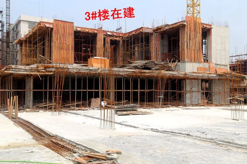 3#楼在建