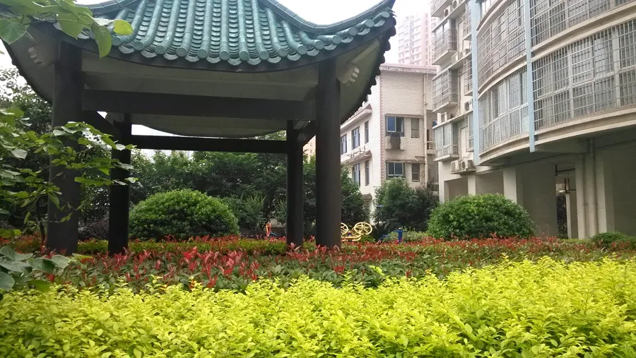 香河公寓2室2厅1卫南朝向1900.00元/月出租