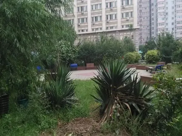 美好家园2室1厅1卫东西朝向5800.00元/月出租