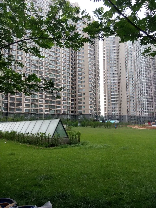 半岛明珠二期3室2厅2卫南北朝向2200.00元/月出租