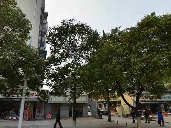 杨家山市政府宿舍2室1厅1卫南北朝向1500.00元/月出租