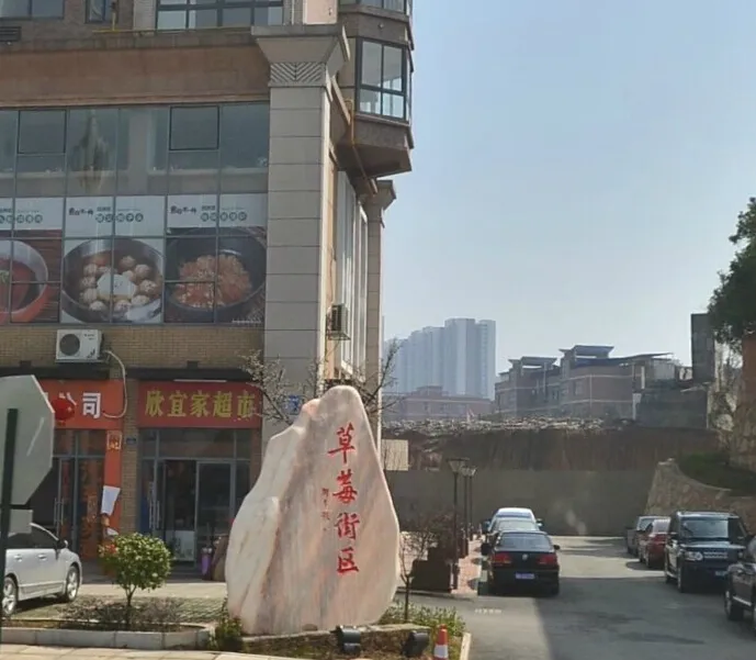 月亮湾草莓街区-星沙中南汽车大世界热门楼盘多维度测评