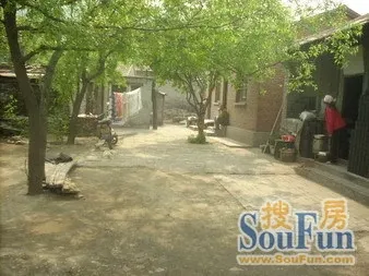 宽街小区2室2厅1卫南北朝向2900.00元/月出租