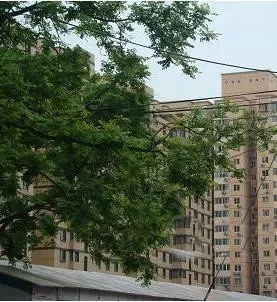 外馆西街小区2室1厅1卫南北朝向6000.00元/月出租