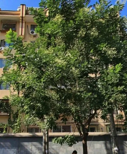 整租·亚运村小营·小营西路1号·2室