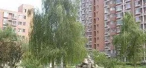 半导体宿舍2室1厅1卫南北朝向7000.00元/月出租