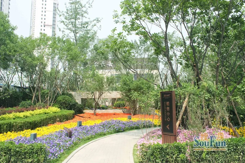 丽景长安2室1厅1卫南北朝向3800.00元/月出租