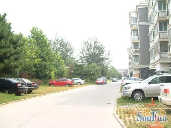 玫瑰家园2室1厅1卫南北朝向1000.00元/月出租