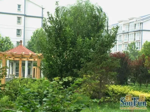 玫瑰家园2室2厅1卫南北朝向800.00元/月出租