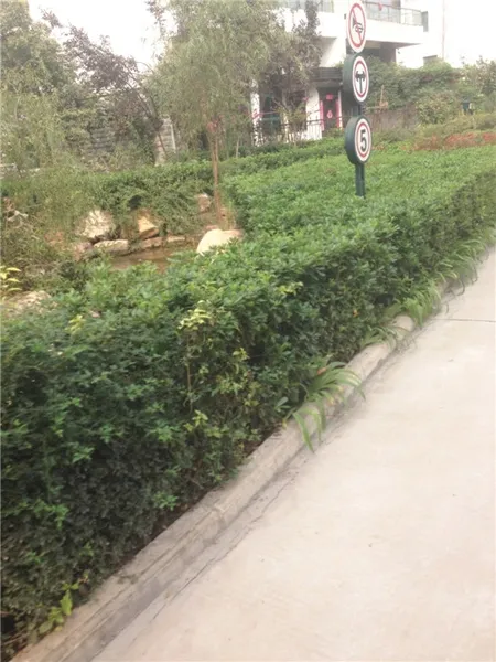 康城逸树1室1厅1卫南朝向1200.00元/月出租