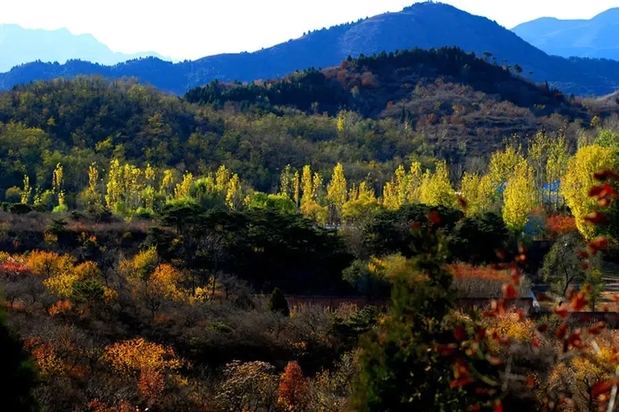 天恒·半山世家4室3厅4卫东西南北朝向16000.00元/月出租