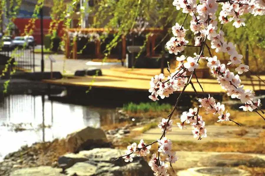 天恒·半山世家4室3厅4卫东西南北朝向18000.00元/月出租