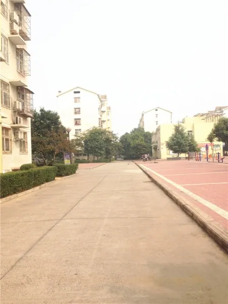 龙泰小区3室1厅1卫南朝向1000.00元/月出租