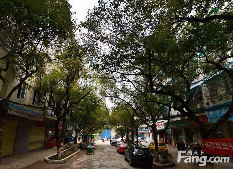 旺盛佳园2室1厅1卫东南朝向1100.00元/月出租