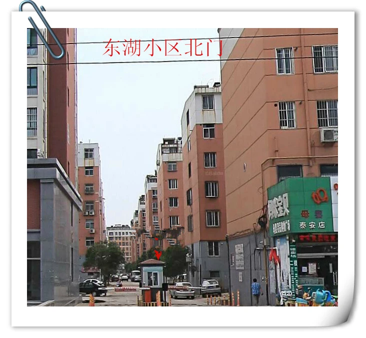 泰安市泰山区东湖公园九大花坊盘点_泰安市泰山区东湖