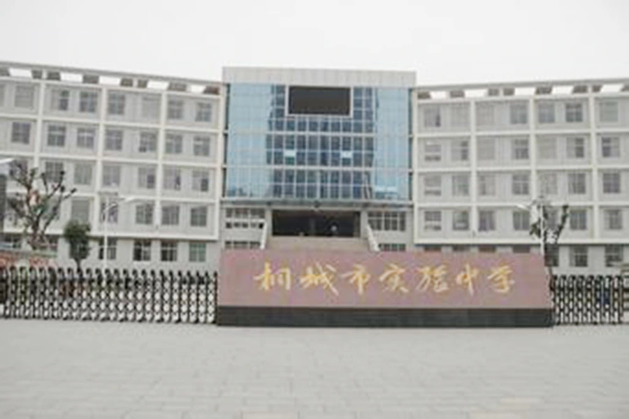 桐城盛唐国际