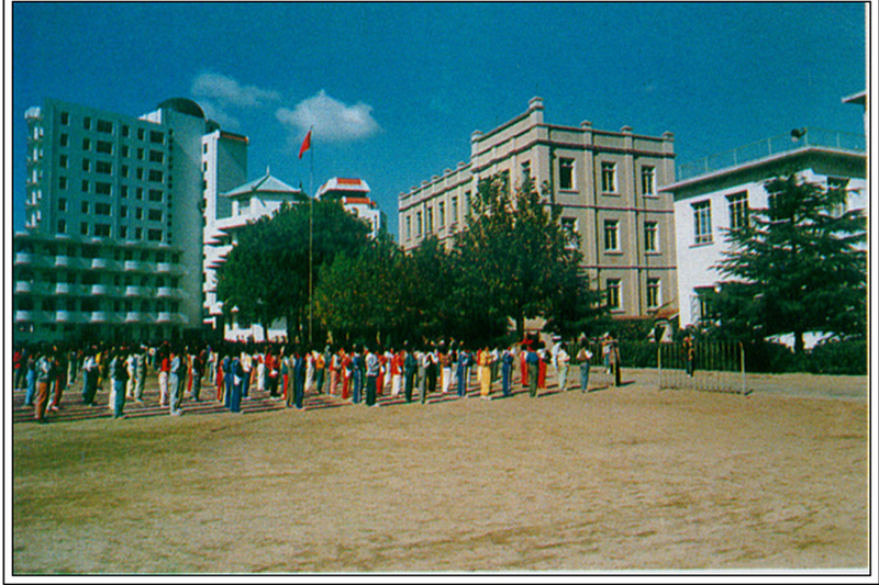 鲸园小学