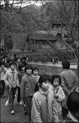 点击查看图片 点击查看图片