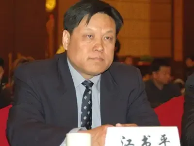 中国房地产协会经济合作委员秘书长江书平先生 中国房地产协会经济合作委员秘书长江书平先生