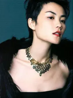 王菲 王菲