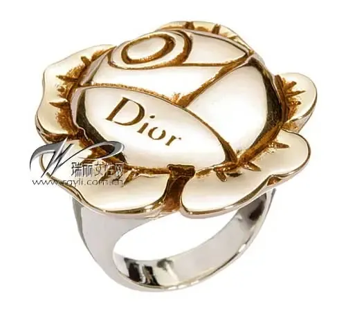 ��ͼ:��������DIOR�ļ�����