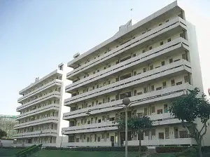 个人合作建房者成功拍得的两栋楼房。刘军锋/摄 个人合作建房者成功拍得的两栋楼房。刘军锋/摄