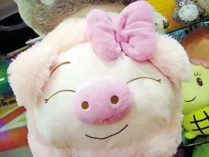 可爱猪猪 可爱猪猪