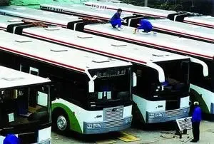 bus bus