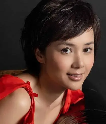 10个装修公司“抢装”蒋雯丽西安新居(图) 10个装修公司“抢装”蒋雯丽西安新居(图)