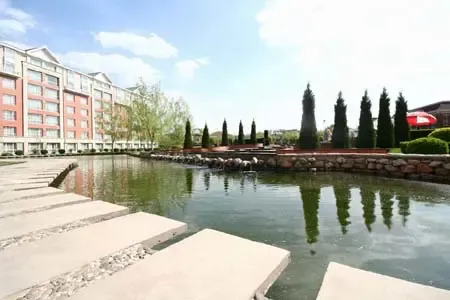 后花园 后花园