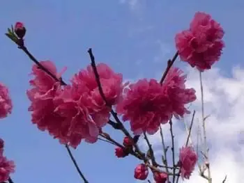 ????? ??-???(黑??潭) ????? ??-???(黑??潭)