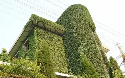 办公楼“穿绿衣”节能 办公楼“穿绿衣”节能