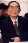 厉以宁 厉以宁