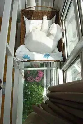 点击查看图片 点击查看图片