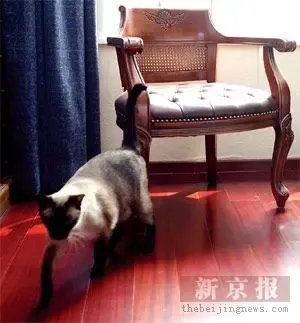 充满午后阳光的角落,让人有一种时空轮回的感觉。 充满午后阳光的角落,让人有一种时空轮回的感觉。