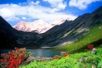 ??(蜀山)? ?-??? ??(蜀山)? ?-???