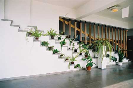 阿尔瓦阿尔托设计的楼梯