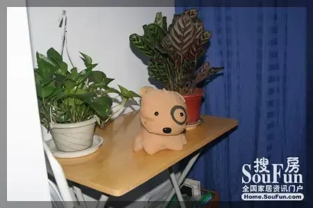 搜房家居网大型视频栏目 “我秀我家”第六期 搜房家居网大型视频栏目 “我秀我家”第六期
