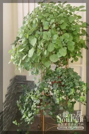 搜房家居网大型视频栏目 “我秀我家”第八期 搜房家居网大型视频栏目 “我秀我家”第八期