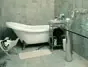 ������ɫ