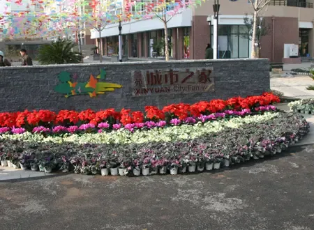 精工尺度 品位生活 城市之家喜迎业主 精工尺度 品位生活 城市之家喜迎业主
